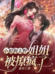 小狼狗太野,姐姐被撩瘋了